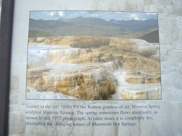 yellowstone2008 151.jpg