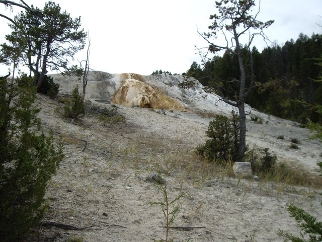 yellowstone2008 153.jpg