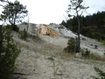 yellowstone2008 153.jpg