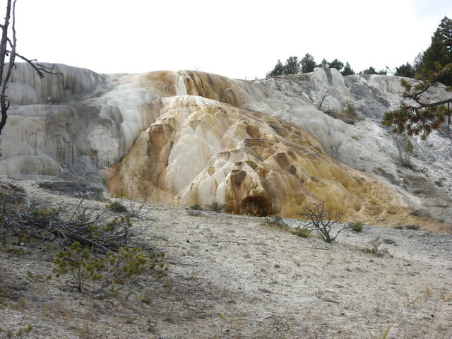 yellowstone2008 155.jpg