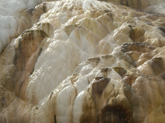 yellowstone2008 157.jpg