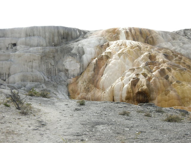 yellowstone2008 159.jpg