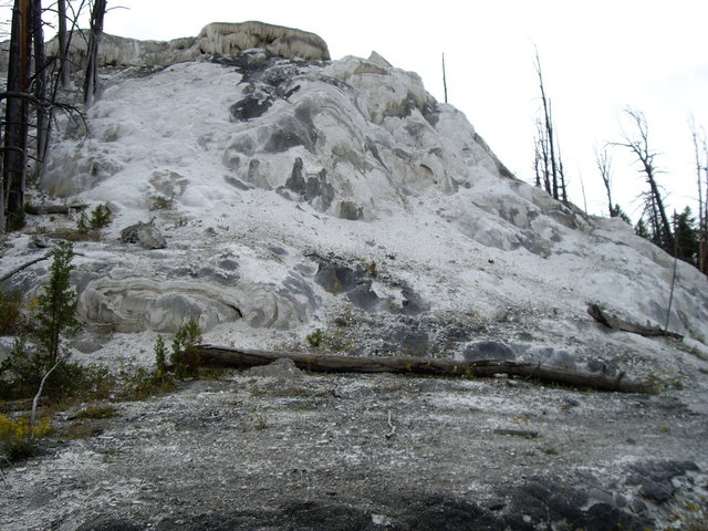 yellowstone2008 160.jpg