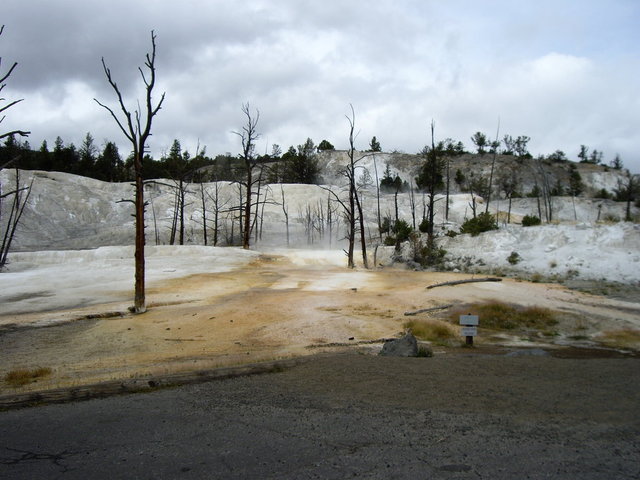 yellowstone2008 164.jpg