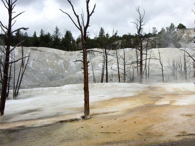 yellowstone2008 165.jpg