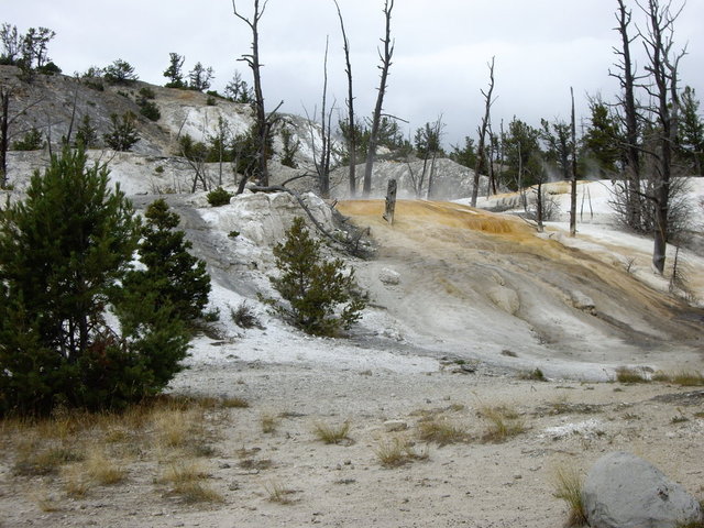 yellowstone2008 166.jpg