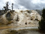 yellowstone2008 171.jpg
