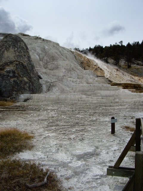 yellowstone2008 172.jpg