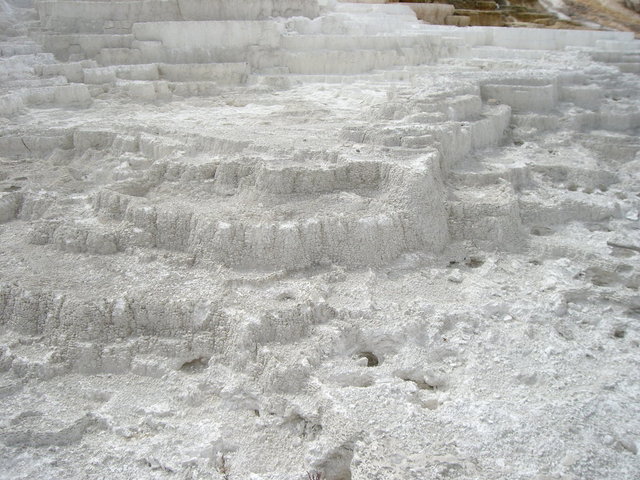 yellowstone2008 173.jpg