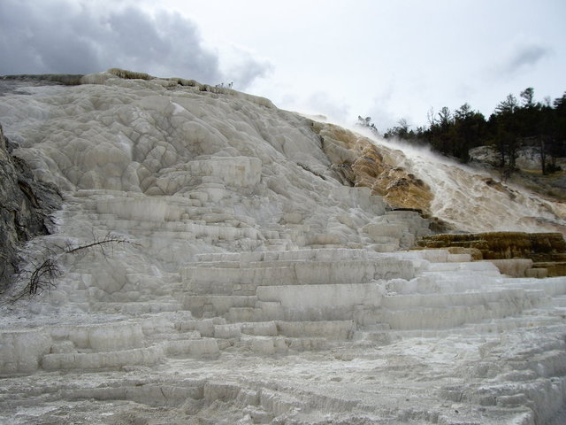 yellowstone2008 174.jpg