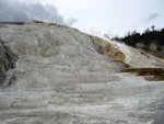 yellowstone2008 174.jpg