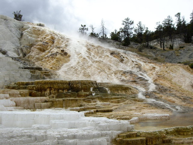 yellowstone2008 179.jpg