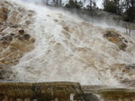 yellowstone2008 180.jpg
