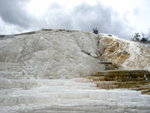 yellowstone2008 181.jpg