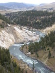 yellowstone2008 189.jpg