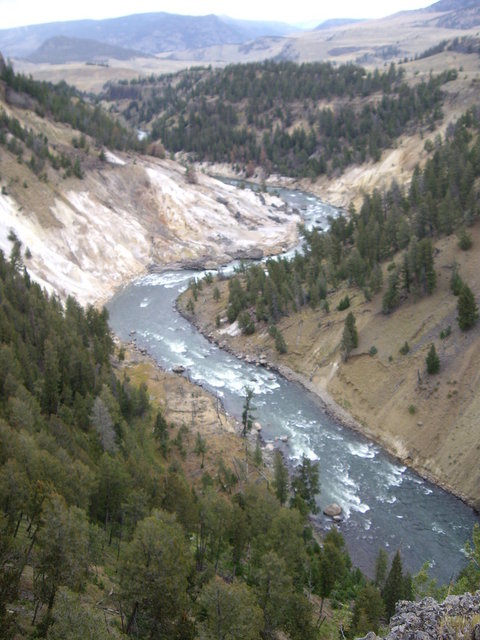 yellowstone2008 191.jpg