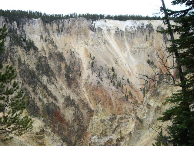 yellowstone2008 206.jpg