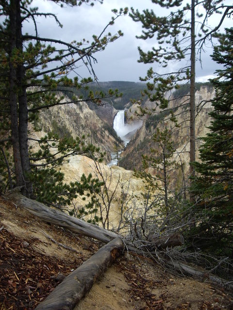 yellowstone2008 207.jpg