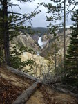 yellowstone2008 207.jpg