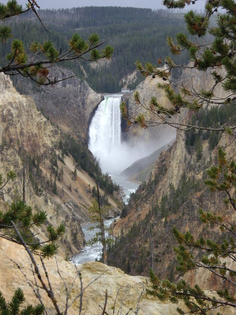 yellowstone2008 208.jpg