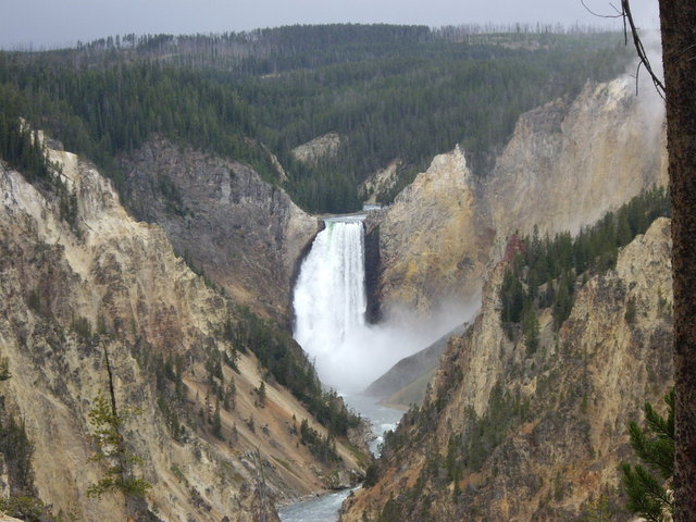 yellowstone2008 209.jpg