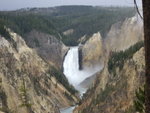 yellowstone2008 209.jpg