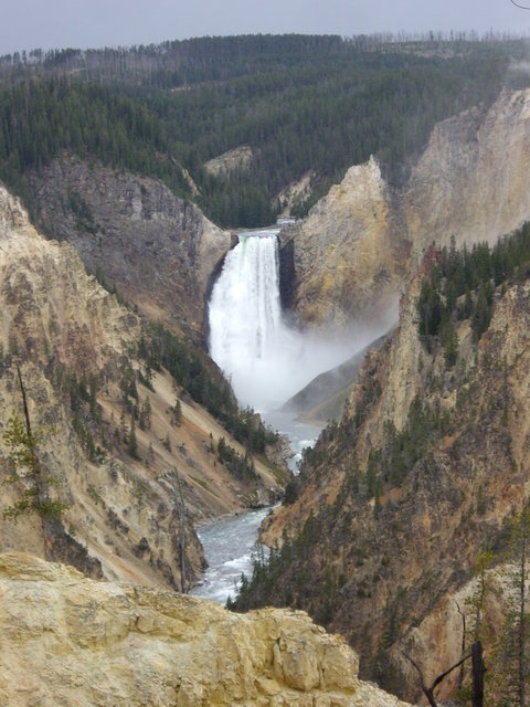 yellowstone2008 210.jpg