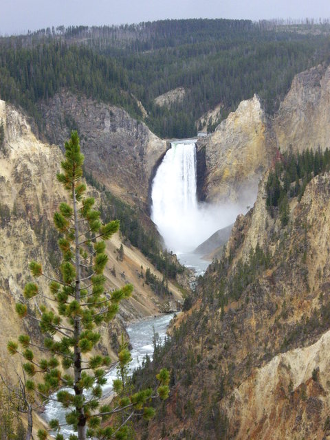yellowstone2008 211.jpg