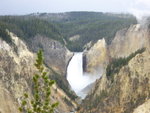 yellowstone2008 212.jpg