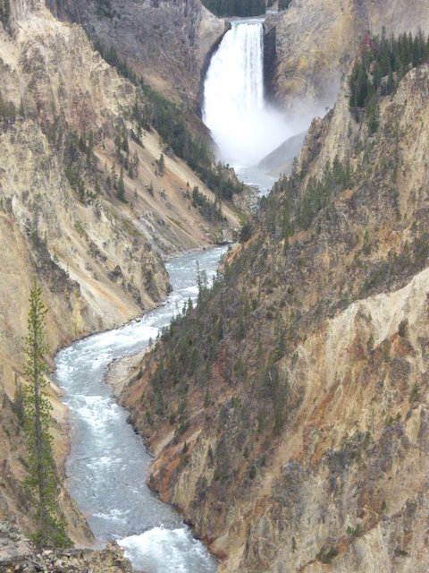 yellowstone2008 213.jpg