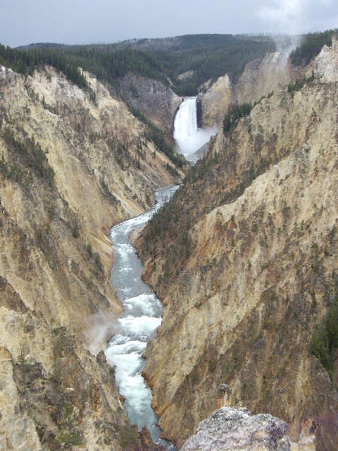 yellowstone2008 214.jpg