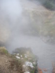 yellowstone2008 230.jpg