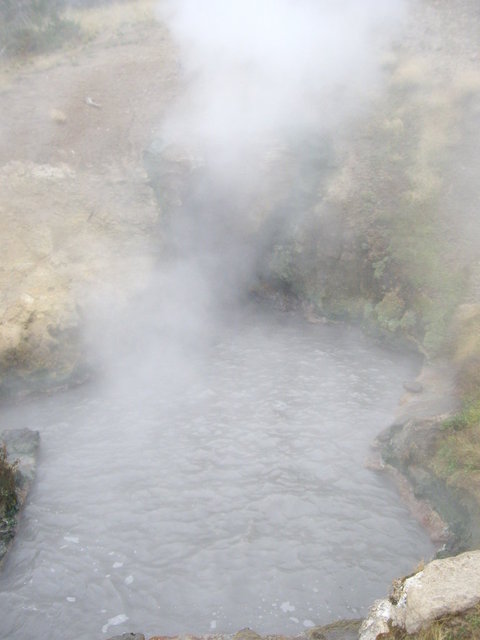 yellowstone2008 232.jpg
