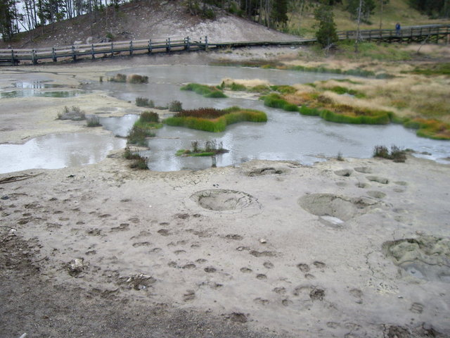 yellowstone2008 233.jpg