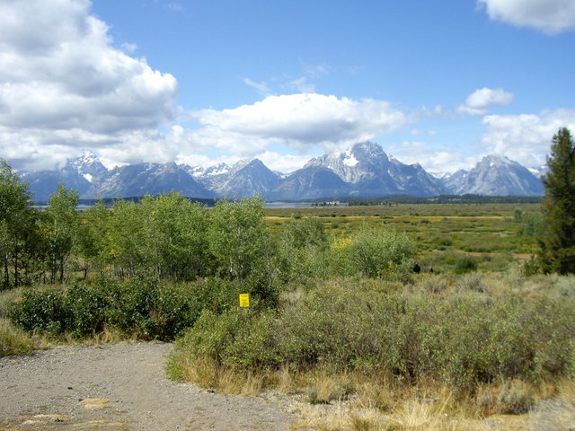 yellowstone2008 248.jpg