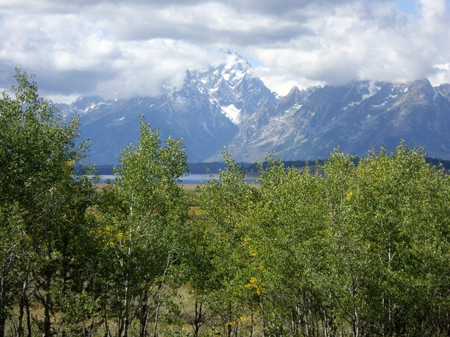 yellowstone2008 251.jpg