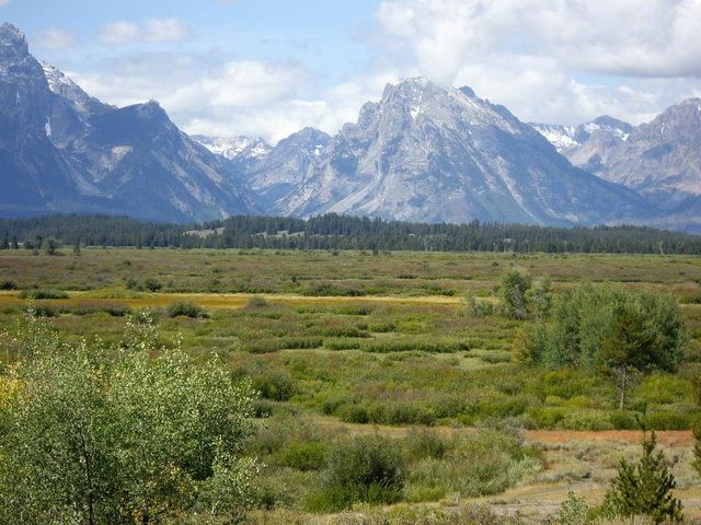 yellowstone2008 252.jpg