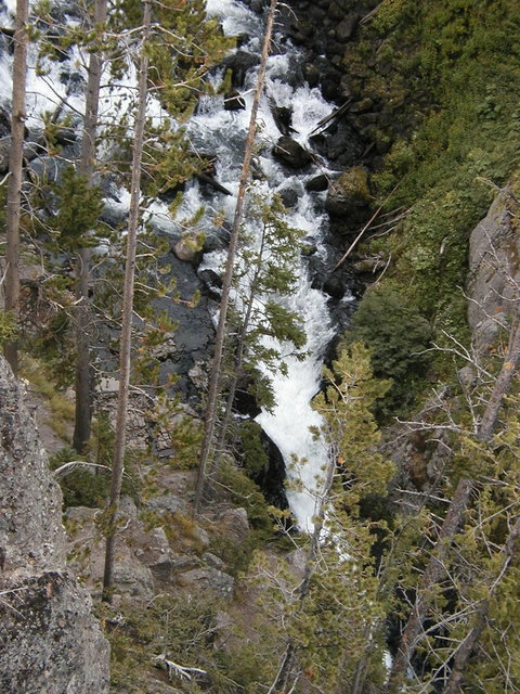 yellowstone2008 279.jpg