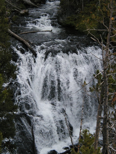 yellowstone2008 280.jpg