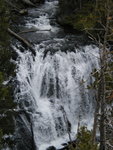 yellowstone2008 280.jpg