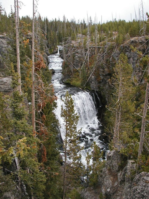 yellowstone2008 281.jpg