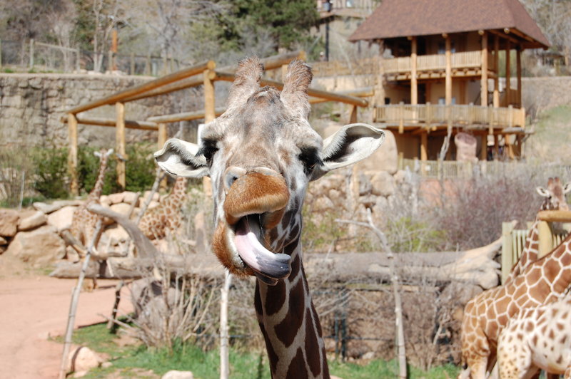 William-2010_04_28 008