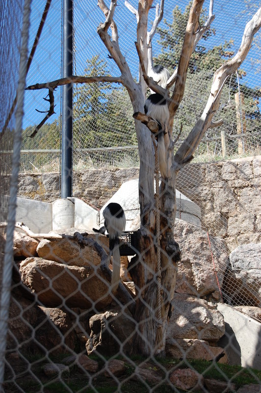 William-2010_04_28 020