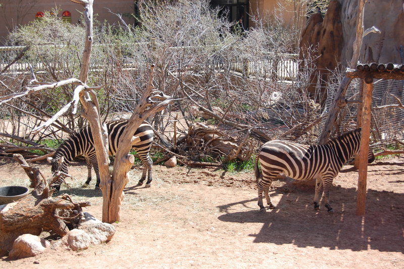 William-2010_04_28 021