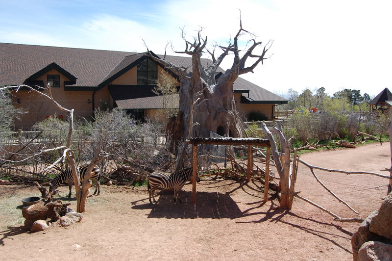 William-2010_04_28 022