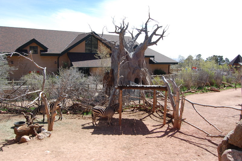 William-2010_04_28 023