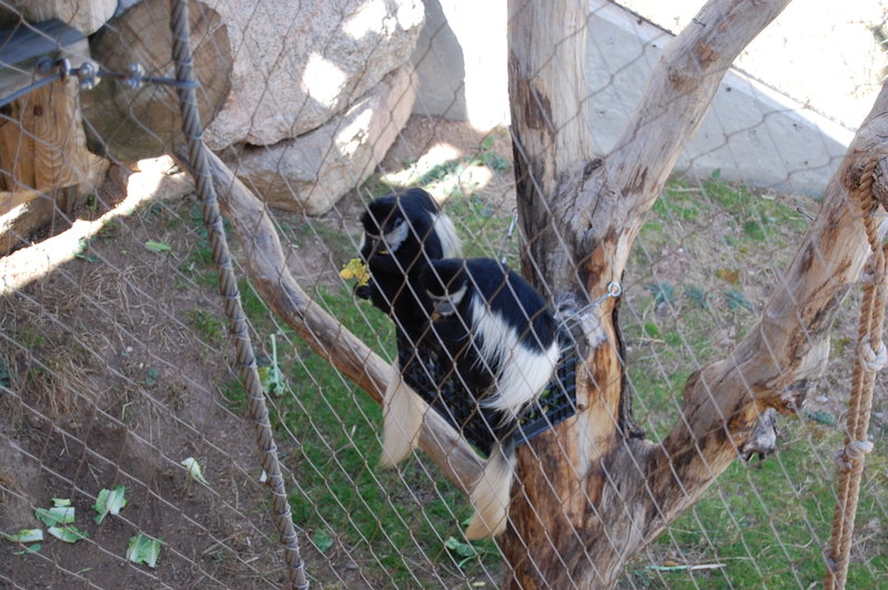 William-2010_04_28 029