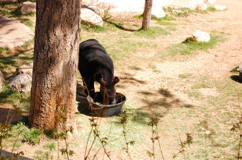 William-2010_04_28 034