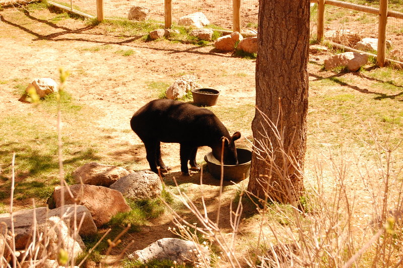 William-2010_04_28 035