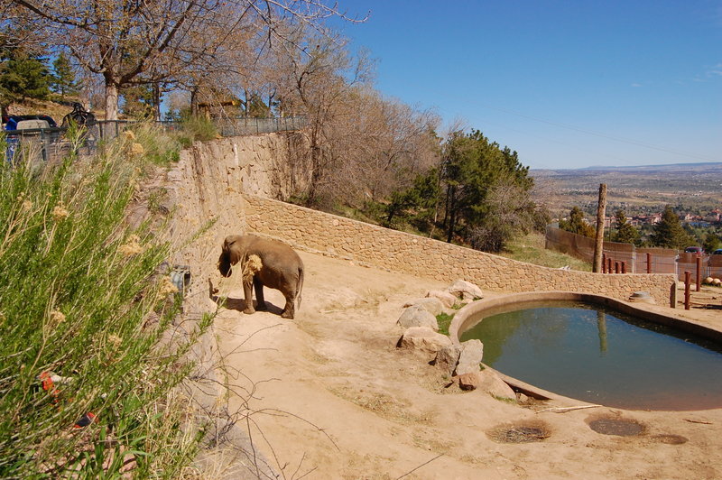 William-2010_04_28 036